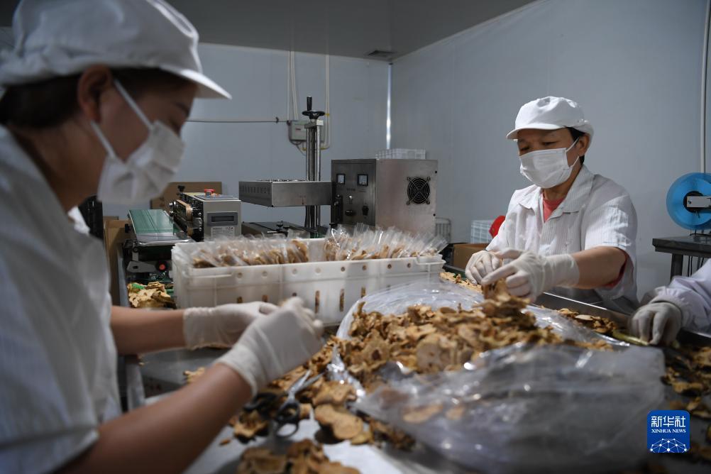 吉祥游戏电脑版